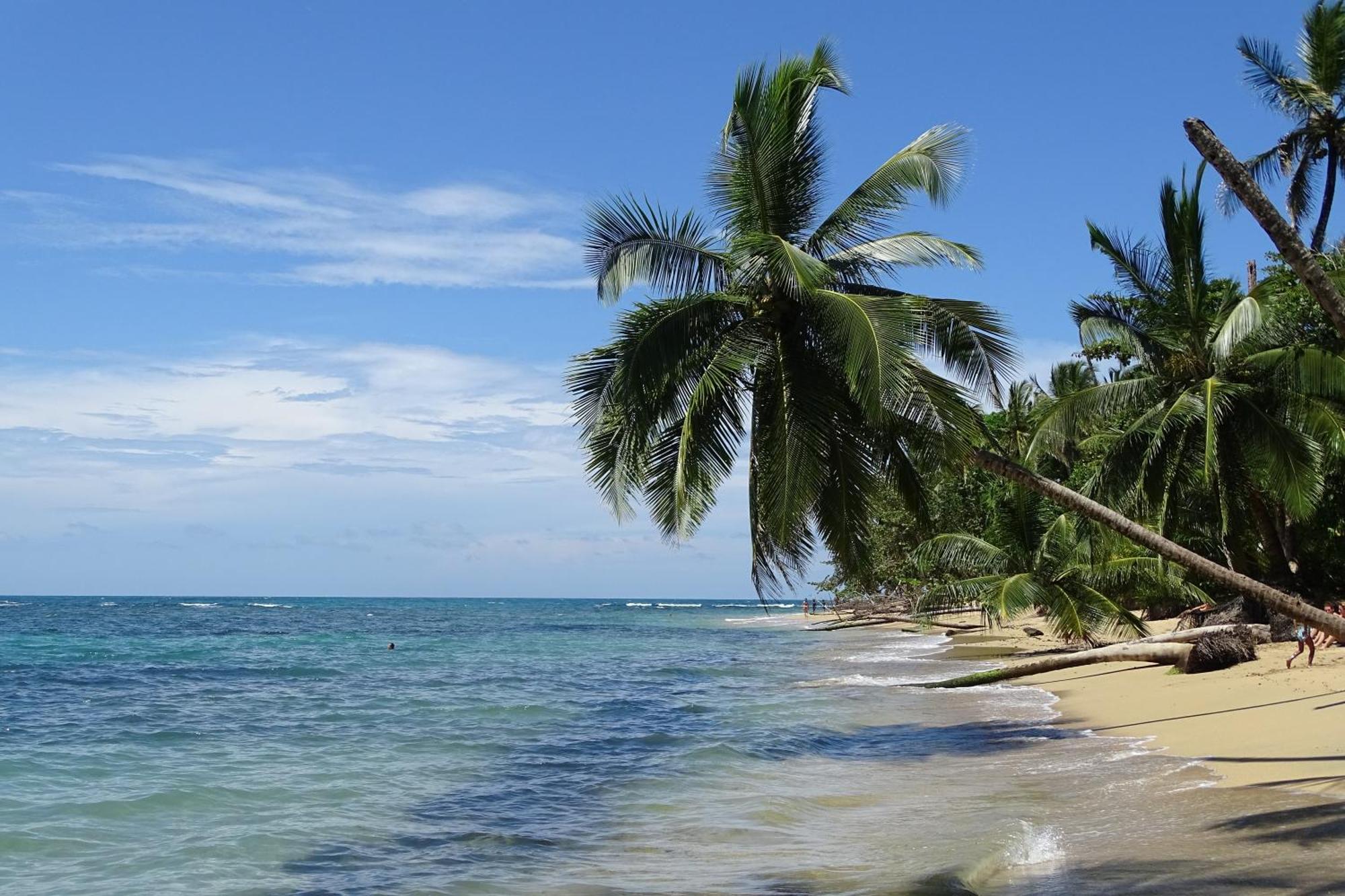 Cabinas Los Tucanes Cahuita Bagian luar foto