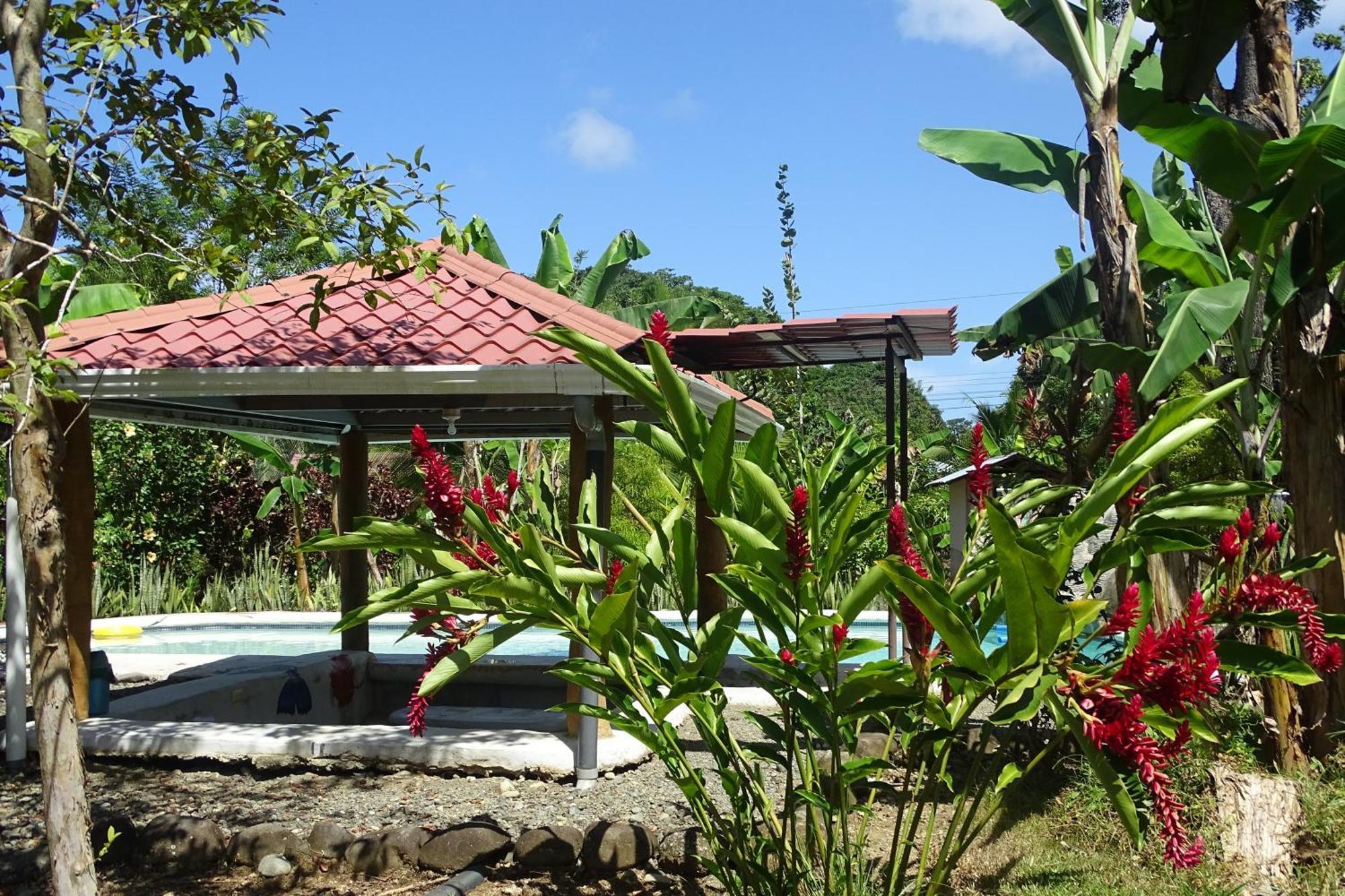 Cabinas Los Tucanes Cahuita Bagian luar foto