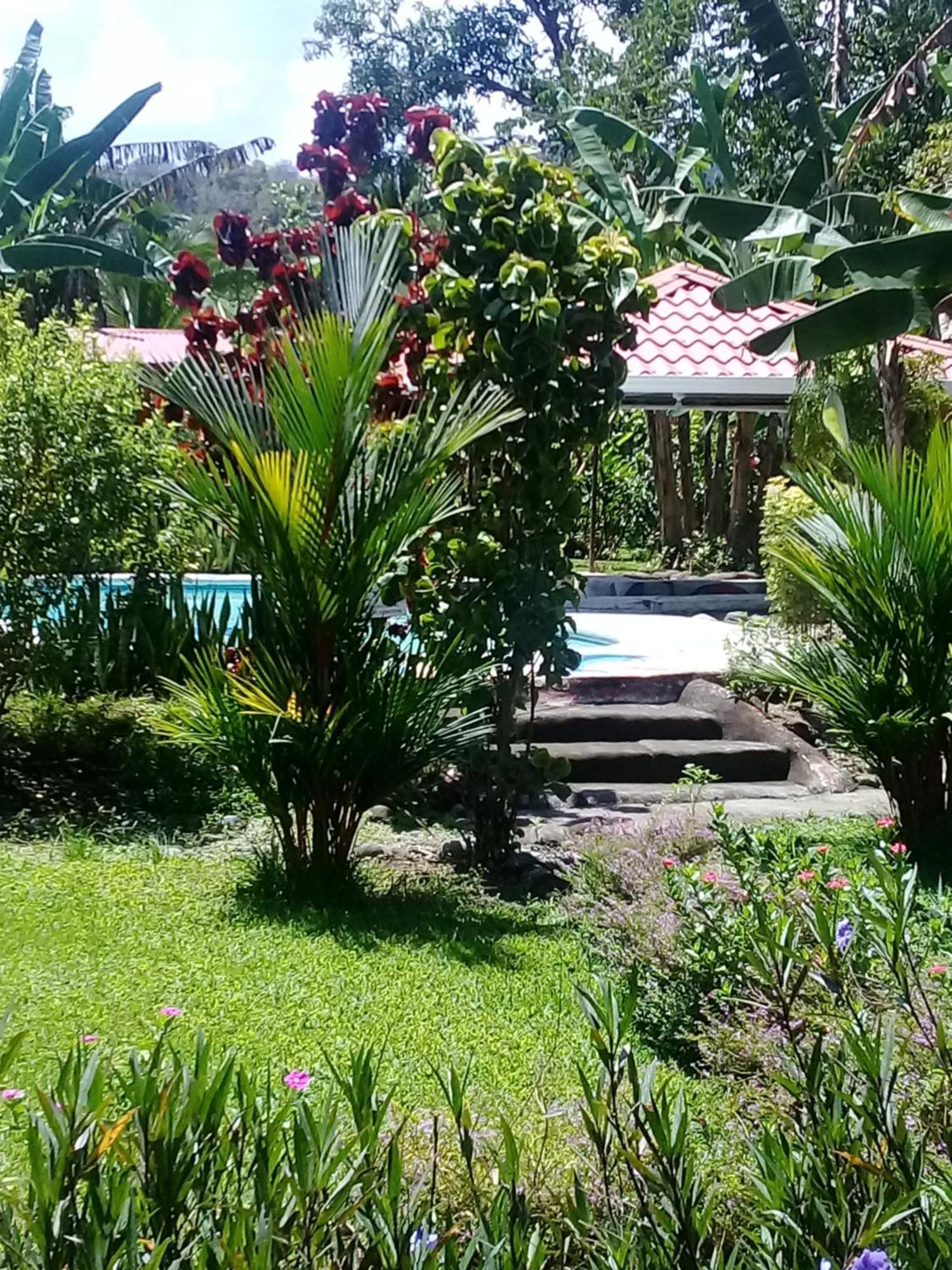 Cabinas Los Tucanes Cahuita Bagian luar foto